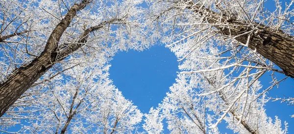 Téli tábor - 2025 december