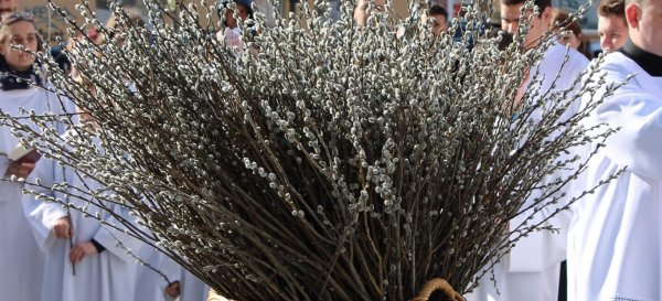 Virágvasárnap - 2022.04.10.