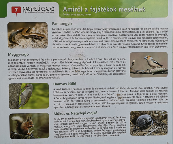 Családi kirándulás - 2022.09.24.