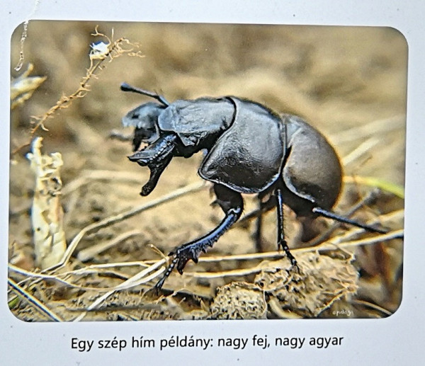 Családi kirándulás - 2022.09.24.