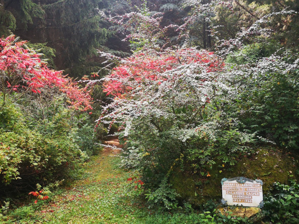 Családi kirándulás