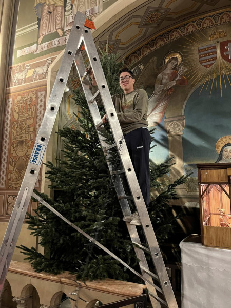 Fenyőfa és betlehem állítás