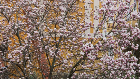 Csornai zarándoklat - 2022.04.02.