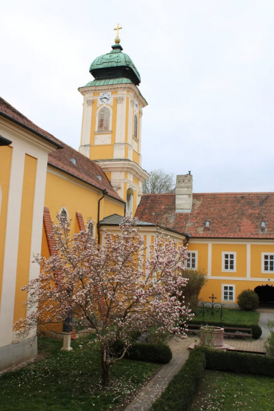 Csornai zarándoklat - 2022.04.02.